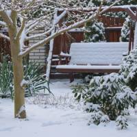 8 tipov čo robiť na záhrade počas zimy