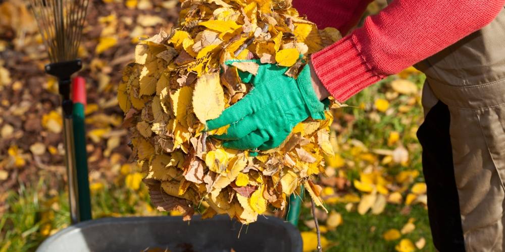 5 vecí, ktoré robi� na záhrade v októbri