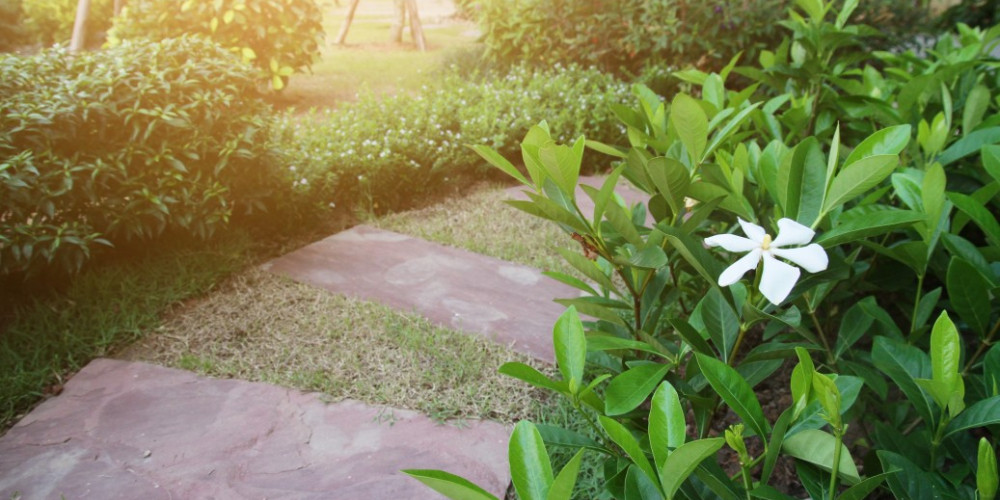 Tajomstvo “wow” krásnej predzáhradky: Návod, ako premeniť priestor pred domom či pri plote na oázu pokoja a reprezentatívny vstup do domu Tajomstvo “wow” krásnej predzáhradky: Návod, ako premeniť priestor pred domom či pri plote na oázu pokoja a reprezentatívny vstup do domu