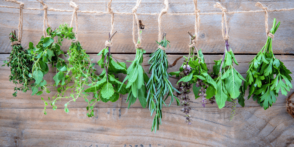 Bylinky do z�hrady, na okrasu a aj do kuchyne: Kompletn� sprievodca pestovan�m, v�berom, zberom, su�en�m a vyu�it�m (nielen) lie�iv�ch byliniek