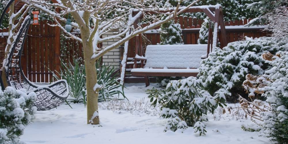 8 tipov čo robiť na záhrade počas zimy