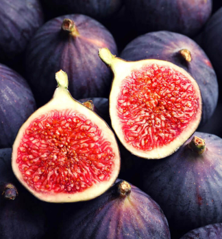 Figovn�k �RONDE DE BORDEAUX� 30-40 cm, kont. 2 l