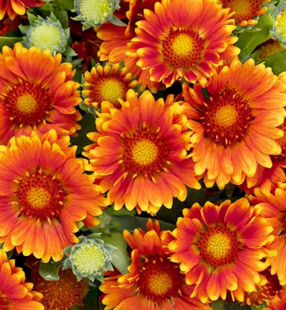 Obr�zok (2)