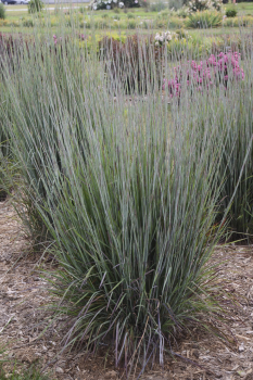 Obr�zok (4)