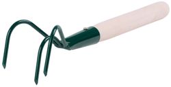 Kypri� trojzub, s n�sadou 25 cm