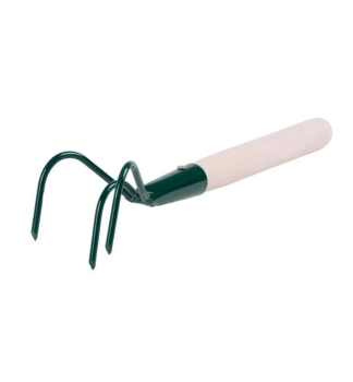 Kypri� trojzub, s n�sadou 25 cm