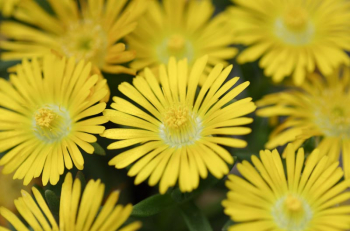 Obr�zok (3)