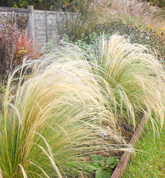 Kavy� perovit� �ICHU� kont. 0,5 l