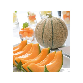 �LT� MEL�N �JENGA F1� kont. 0,5 l