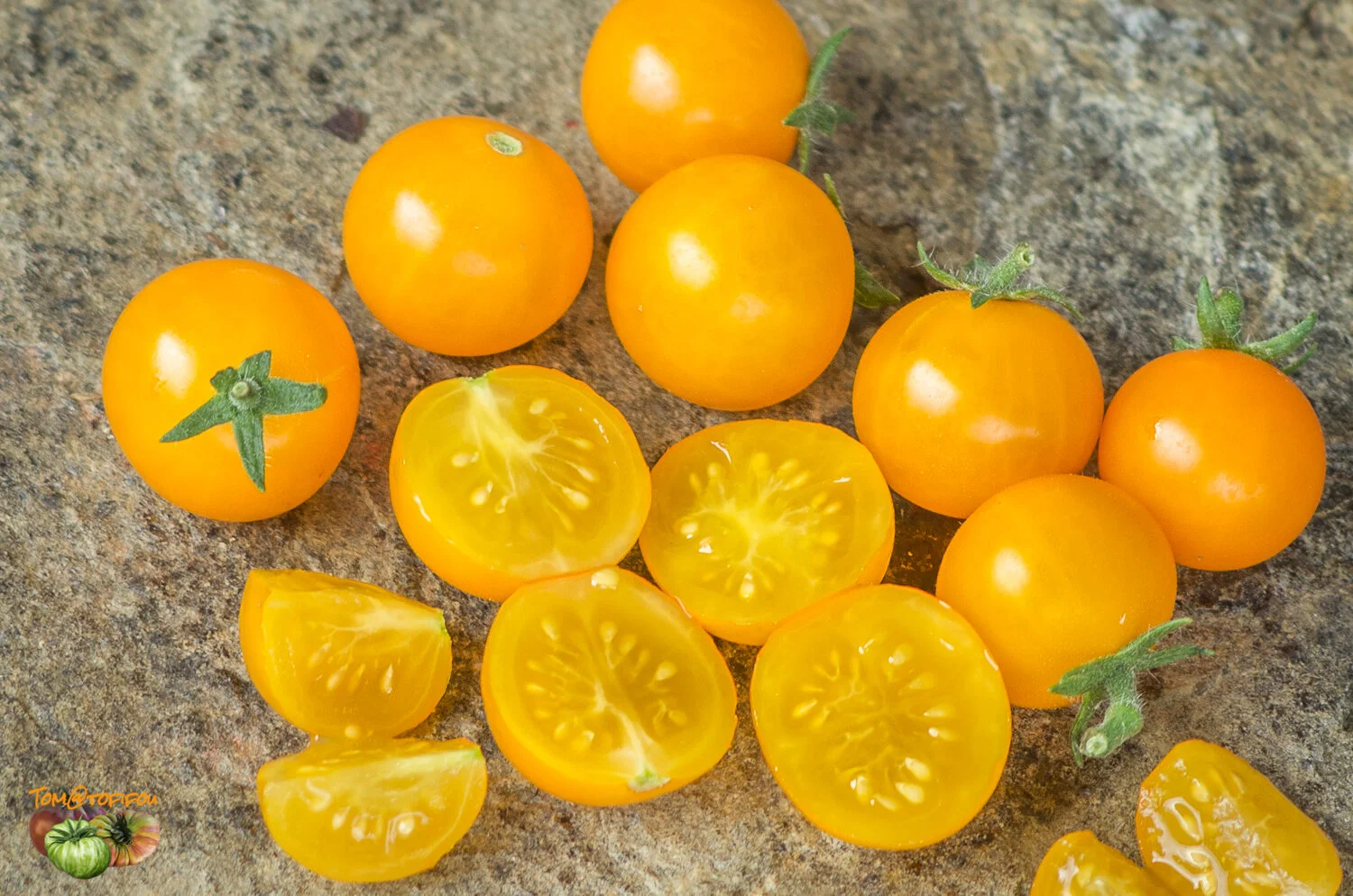 Raj�ina kol�kov� cherry �HINOKI F1�, kont. 0,5 l