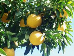 Obr�zok (2)