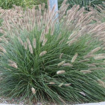 Obr�zok (1)