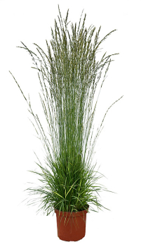 Obr�zok (2)