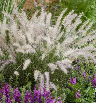 Perovec v�chodn� �JS DANCE WITH ME�� kont. 2 l