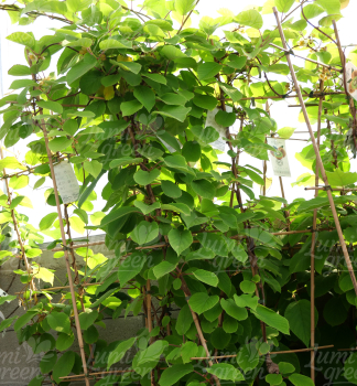 Obr�zok (5)