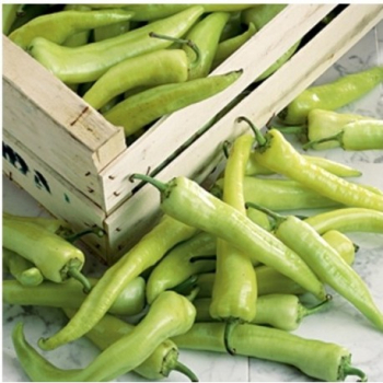 Paprika sladk� �SIGARETTA BIONDO� 6 ks v multiplate