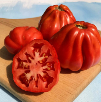 Raj�ina kol�kov� �CANESTRINO F1�, kont. 0,5 l