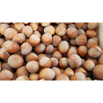 Obr�zok (1)