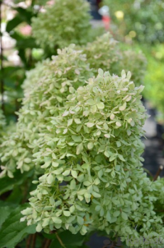 Obr�zok (2)