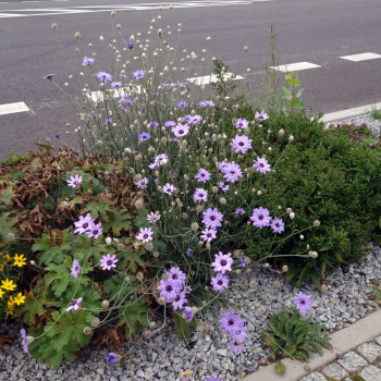 Obr�zok (5)