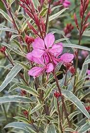 Obr�zok (2)