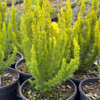Obr�zok (3)