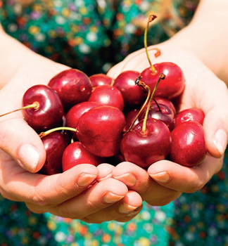 erea IRENA, podp. Gisela 5, vonok.