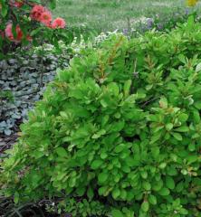 Obr�zok (2)
