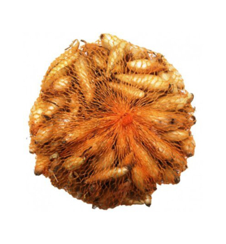 CIBU�KA sadza�ka �BIRNFORMIGE� 8-15 mm, 250 g