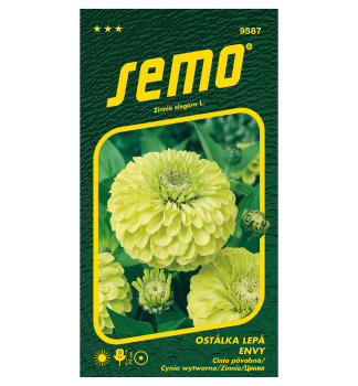 Semen� - C�NIA �ENVY� zelen�