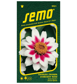 Semen� - C�NIA �ZAHARA STARLIGHT ROSE�