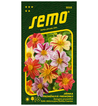 Semen� - GEORG�NA PREMENLIV� �FIREWORKS�