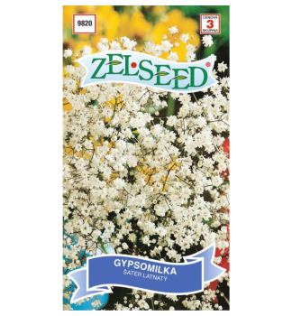 Semen� - GYPSOMILKA METLINAT� plnokvet�
