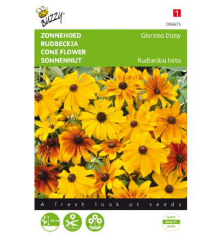 Semen� - RUDBEKIA SRSTNAT� �GLORIOSA DAISY�