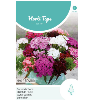 Semen� - KLIN�EK BRADAT� �SWEET WILLIAM�