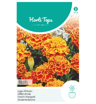 Semen� - AKSAMIETNICA ROZLO�IT� �BOLERO�