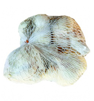 Cesnak sadbov� �MESSIDROME� 250g, nepali�iak biely