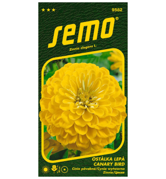 Semen� - C�NIA �CANARY BIRD�