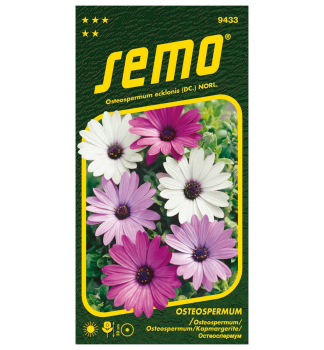 Semen� - OSTEOSPERMUM �BALADE MIX�