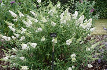 Obr�zok (1)