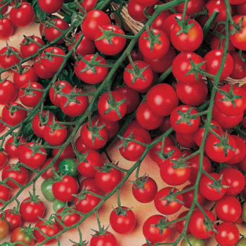 Raj�ina kol�kov� �SWEET MILLION� �, kont. 1 l