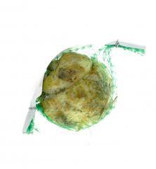 Obr�zok (5)