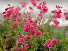 Obr�zok (2)