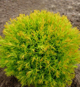 Obr�zok (4)
