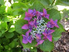 Obr�zok (1)