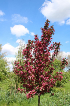 Obr�zok (5)