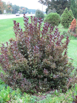 Obr�zok (3)
