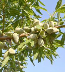 Obr�zok (3)