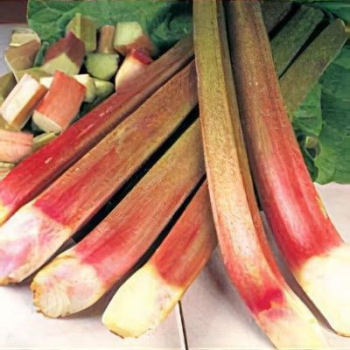 Rebarbora vlnit� �PONCHO�, kont. 1 l