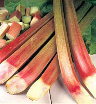 Rebarbora vlnit� �PONCHO�, kont. 1 l